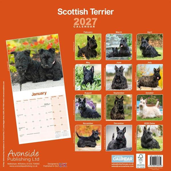 Scottish Terrier Calendar 2027, Wall Calendars, Month To View, Dogs, Gift