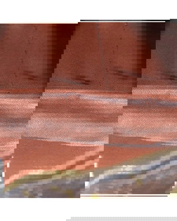 201933548.jpg