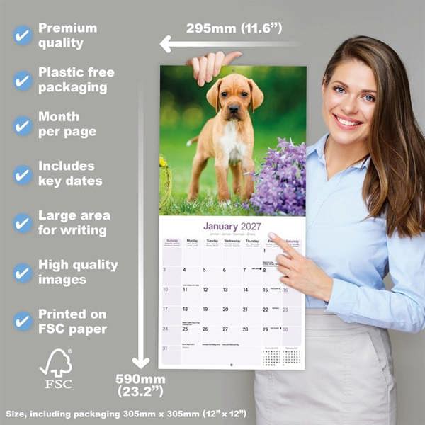Pointer Calendar 2027, Wall Calendars, Month To View, Dogs, Gift