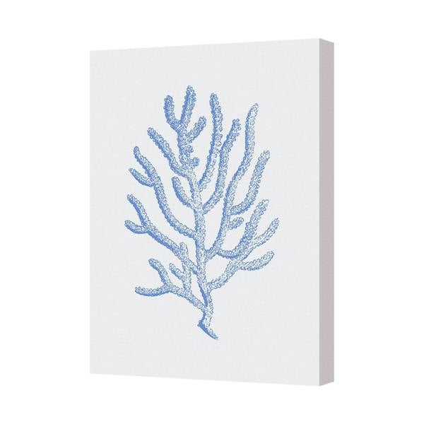 Benjamin Tate Design Blue Coral Canvas Wall Art Print Underwater Sea Reef Decor