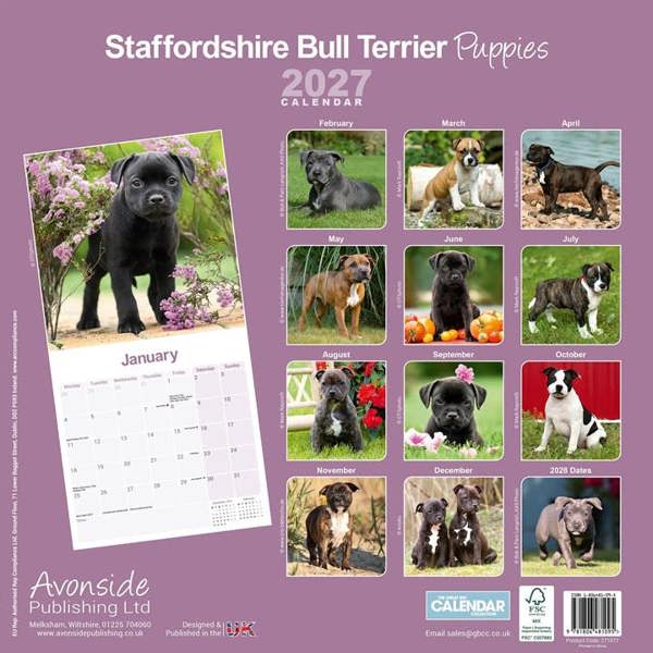 Staffordshire Bull Terrier Puppies Calendar 2027, Wall Calendars, Month To View, Dogs, Gift