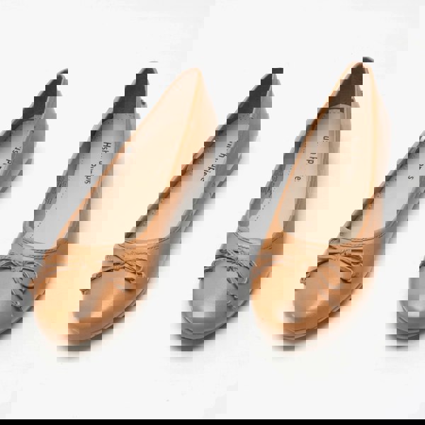 1583240794-35479300.jpg