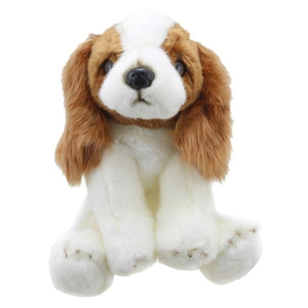 Wilberry King Charles Spaniel - Wilberry Favourites