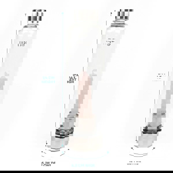 Myga Rose Quartz Crystal Glass Water Bottle