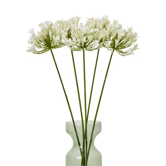 Wyld Haus Set of 3 Artificial Flowers Cream Agapanthus Sprays