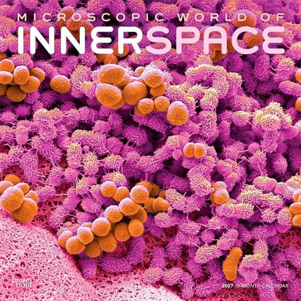 Microscopic World of Innerspace Calendar 2027, Wall Calendars, Month To View, Natural World, Gift