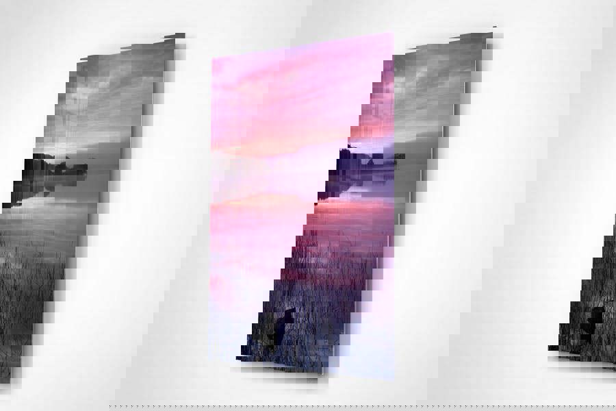 glass framed pictures