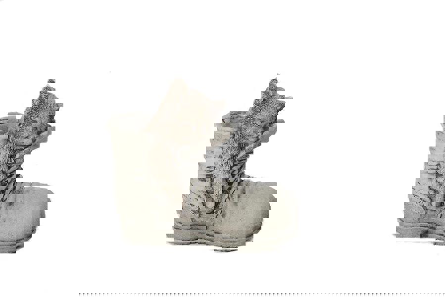 Cat in Shoe Stone Garden Ornament