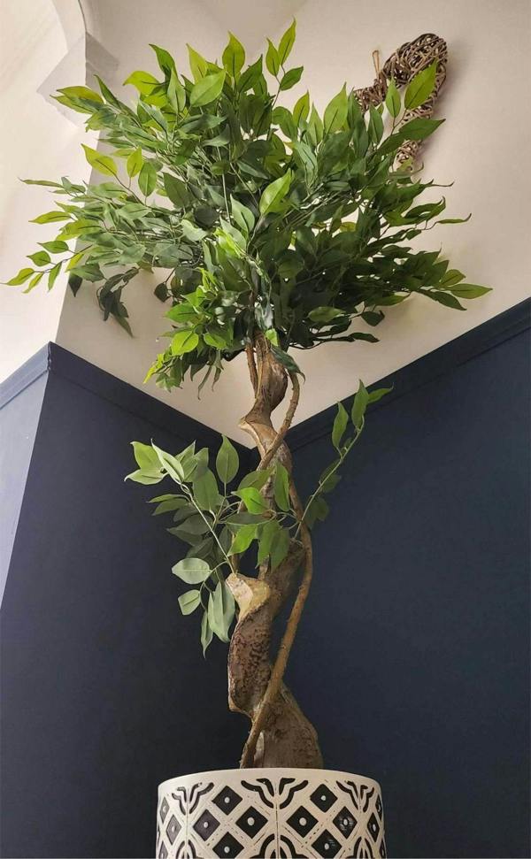 Artificial Japanese Fruticosa Tree Twisted Ficus 120cm - Evergreenery