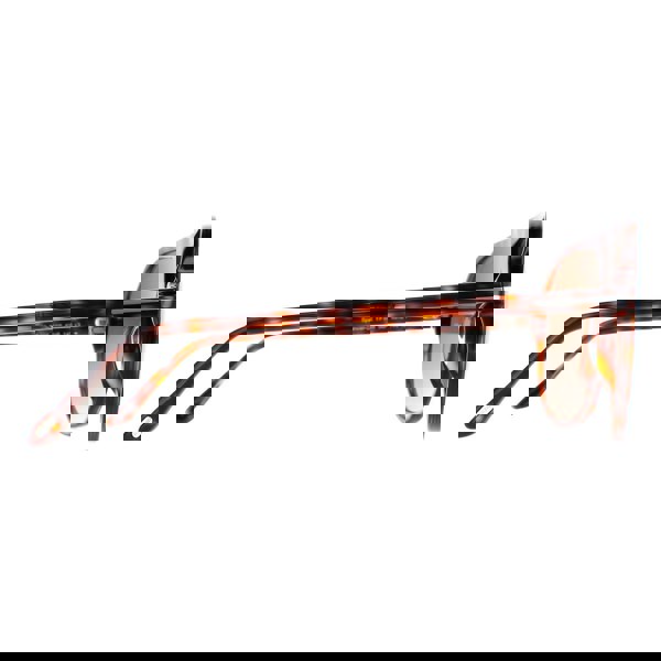 Tom Ford Sunglasses Spencer 02 FT0998 56P Havana Brown Gradient