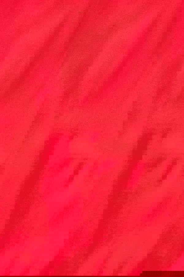 Red Bikini - red fabric