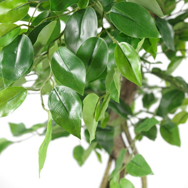 Leaf 120cm Twisted Trunk Artificial Japanese Fruticosa Style Ficus Tree