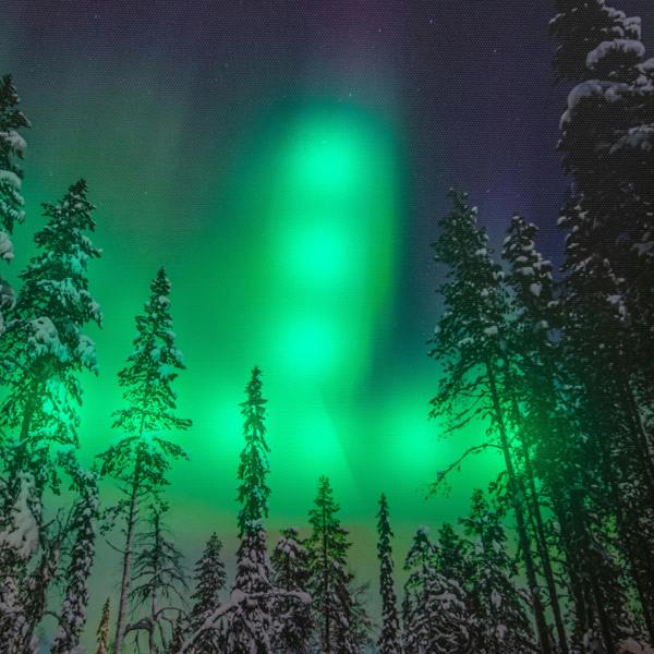 Samuel Alexander 40 x 30cm Battery Powered Light Up Christmas Wall Art Aurora Canvas