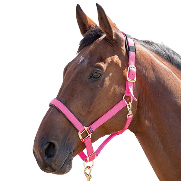 Shires Topaz Nylon Horse Headcollar - Pink