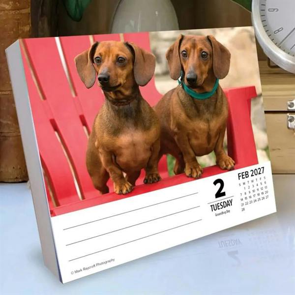 Just Dachshunds Desk Calendar 2027, Desk Calendars, Day To View, Dogs, Gift