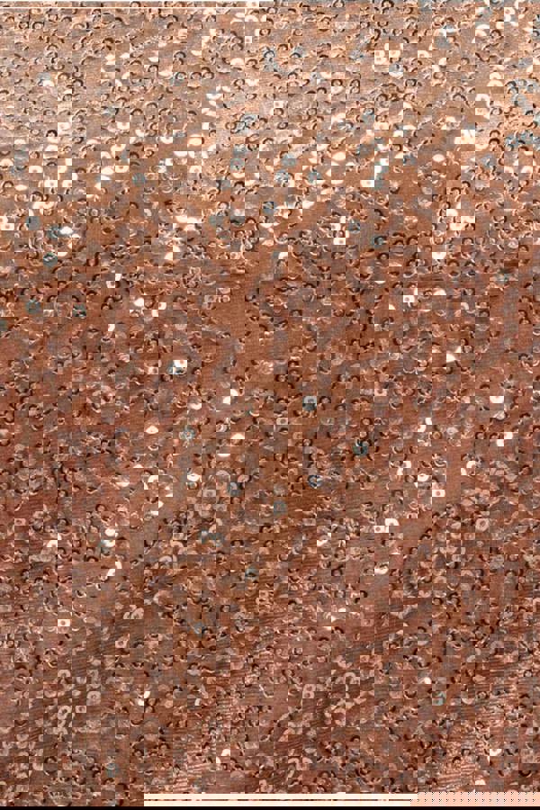 Sequin Velvet Jumper - Champagne T199