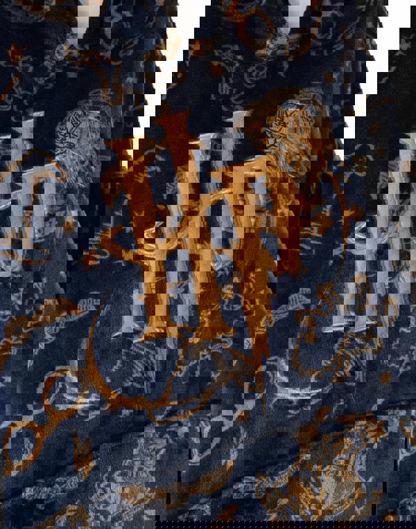 Harry Potter Womens Blue Embroided Logo Blanket Hoodie (One Size) [comp]