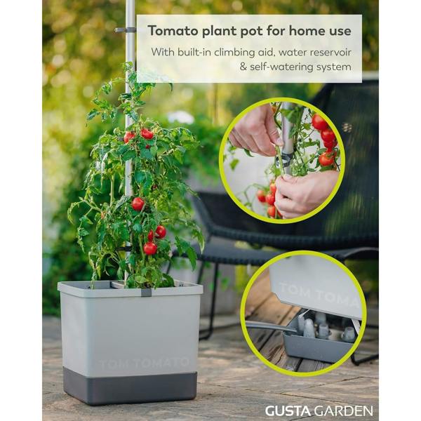 TOM TOMATO Tomato pot with water tank