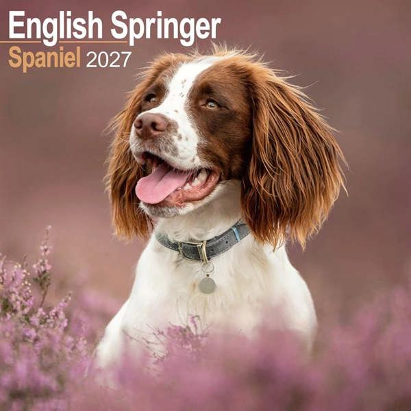 English Springer Spaniel Calendar 2027, Wall Calendars, Month To View, Dogs, Gift