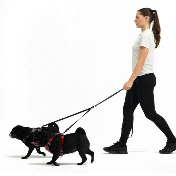 EzyDog Soft Touch Dog Lead Coupler