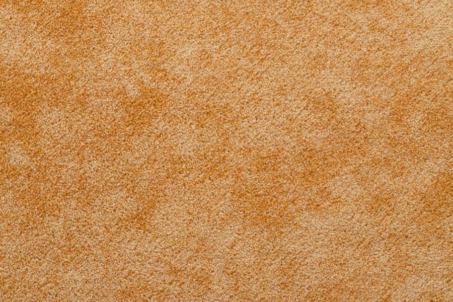 RugsX Carpet Wall-To-Wall Serenade Rug