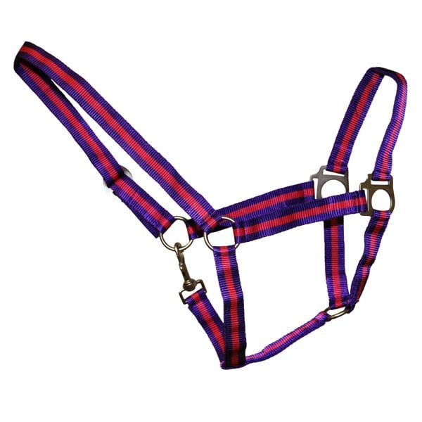 Hy Duo Head Collar - Navy/Red