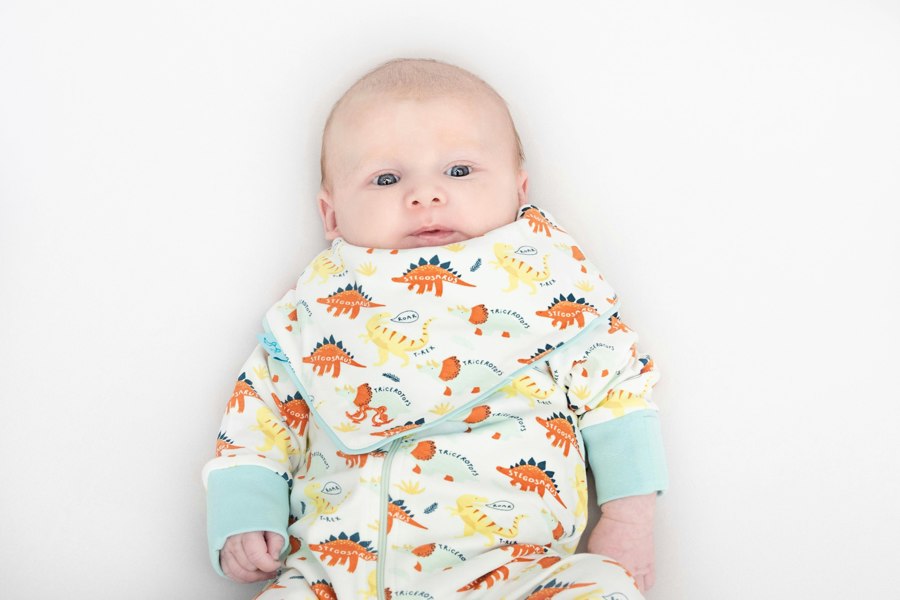 Luca and Rosa Baby grow dino print