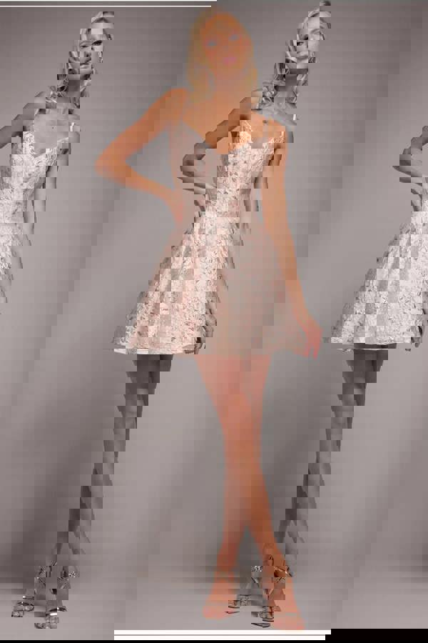 Jacquard Sleeveless A-line Mini Dress - Blush Pink DR3433