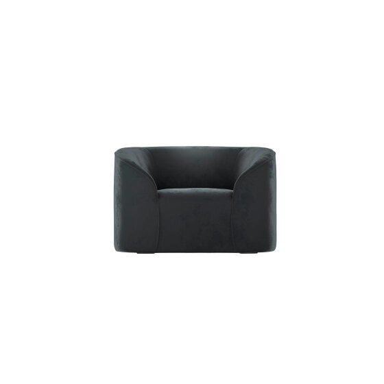 Wyld Haus Carlow Black Velvet Armchair