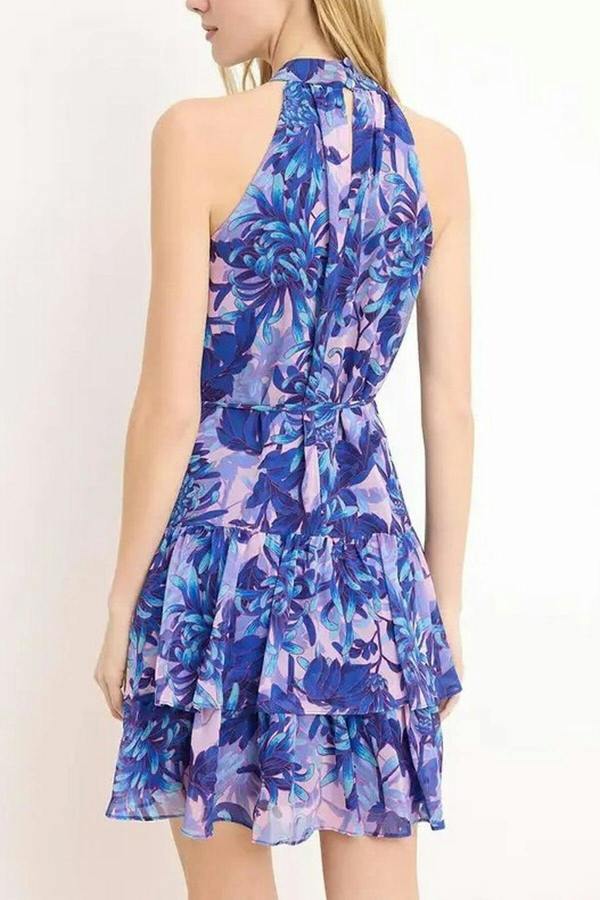 WOVCOR Floral Pattern A-Line Lined Chiffon Flowy Woven Mini Dress