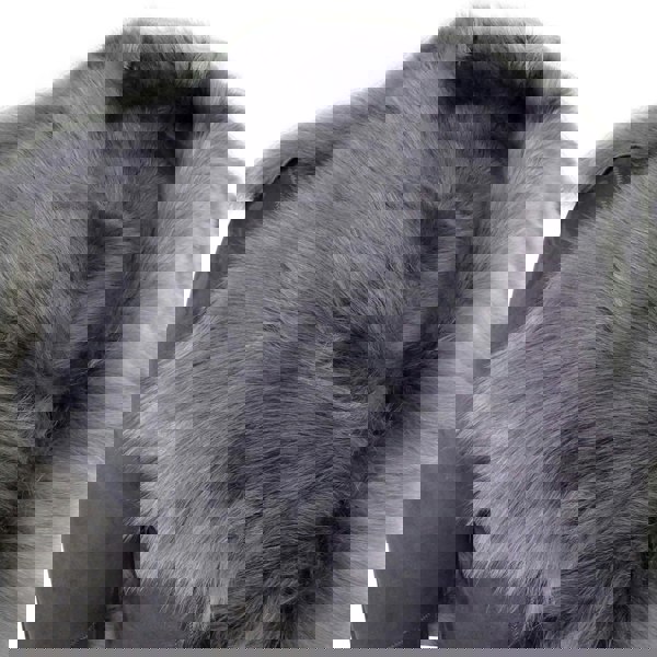 3/4-Toscana_jacket_Grey_2XL - 18, 3/4-Toscana_jacket_Grey_3XL - 20, 3/4-Toscana_jacket_Grey_L - 14, 3/4-Toscana_jacket_Grey_M - 12, 3/4-Toscana_jacket_Grey_S - 10, 3/4-Toscana_jacket_Grey_XL - 16, 3/4-Toscana_jacket_Grey_XS - 8