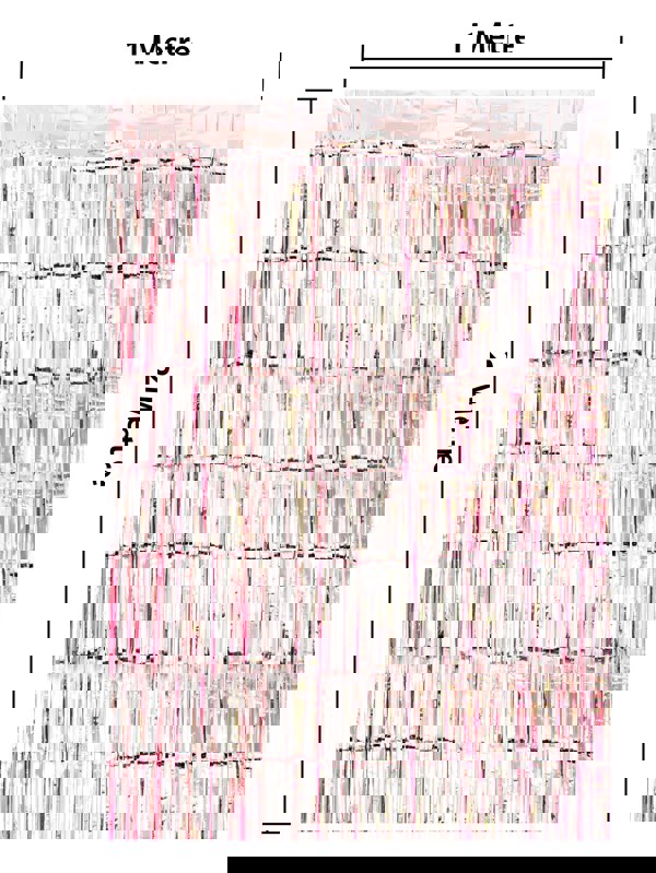 Cheetah Shimmer Tinsel Curtain, 2M x 1M Rose Gold