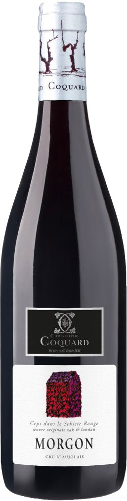 Beaujolais red wine bottle from Maison Coquard on a white background
