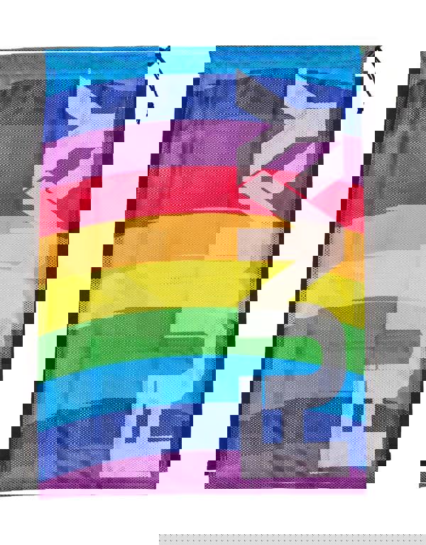 Funky Trunks Rainbowie Mesh Gear Bag - Multi