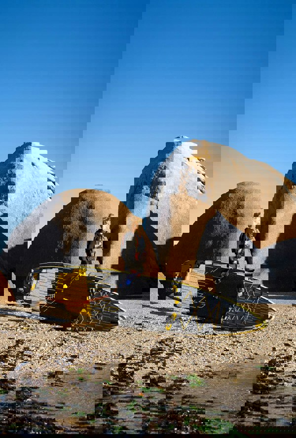 Aquaplanet STINGER Explorer 12'8" Inflatable Paddle Board Package