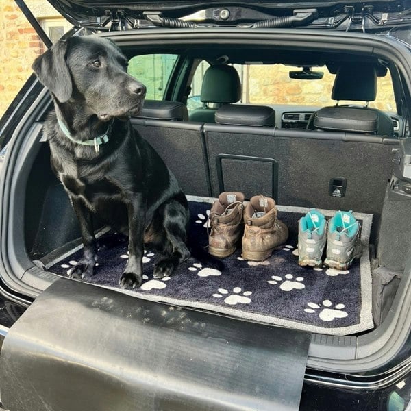 The Rugs Car Boot Paws Coir Doormat – 90×100 cm