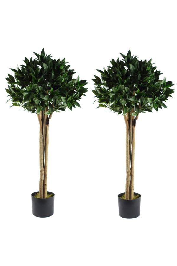 Dyzi Pair of Artificial Bay Trees with Natural Wood Trunks 120cm
