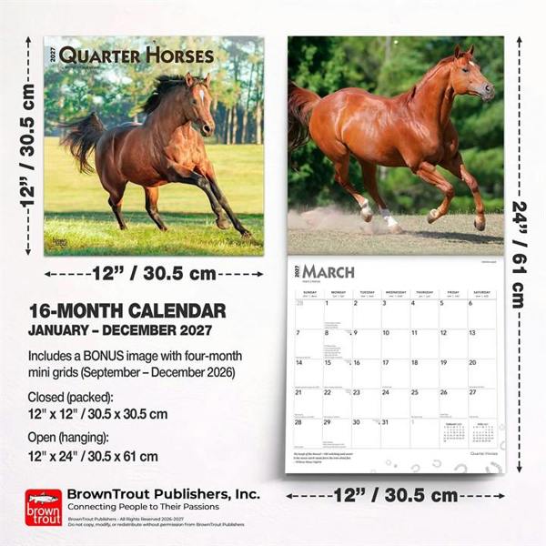 Quarter Horses Calendar 2027, Wall Calendars, Month To View, Animals, Gift