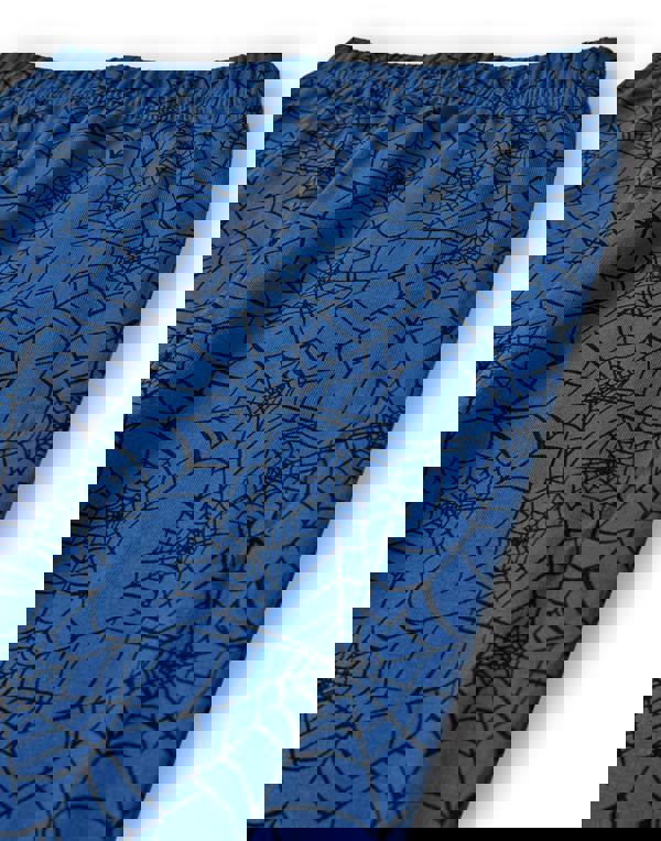 Marvel Boys Blue Spider Man front Print Long Sleeve Long Leg Pyjama Set