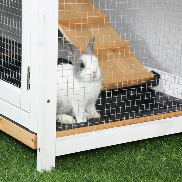 White rabbit resting in wooden hutch run with wire-mesh walls and black base tray