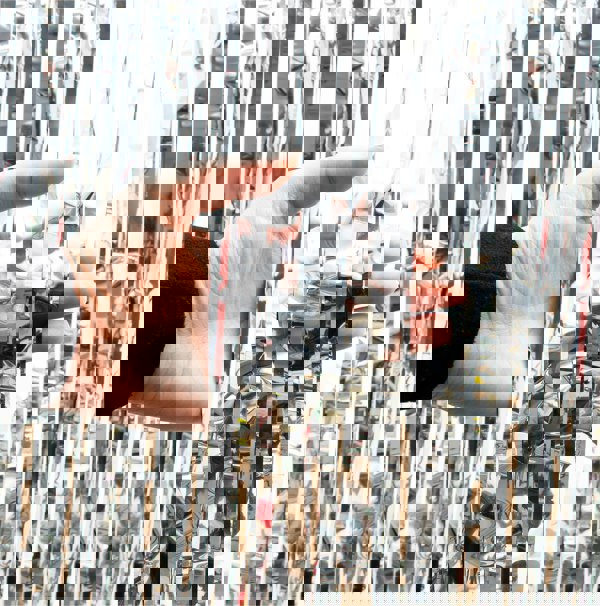 Cheetah Metallic Tinsel Curtain, 3M x 1M Silver