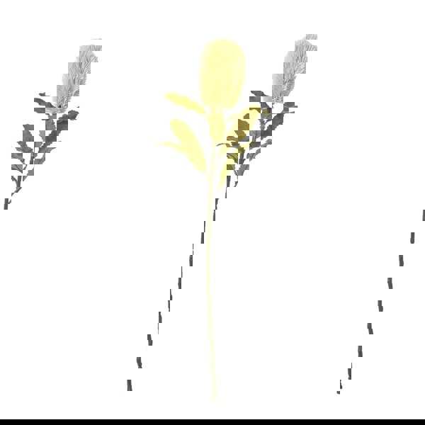 Hill Interiors Banksia Serrata Artificial Flower - Cream