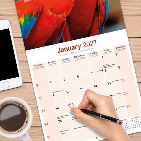 Macaws Calendar 2027, Wall Calendars, Month To View, Animals, Gift