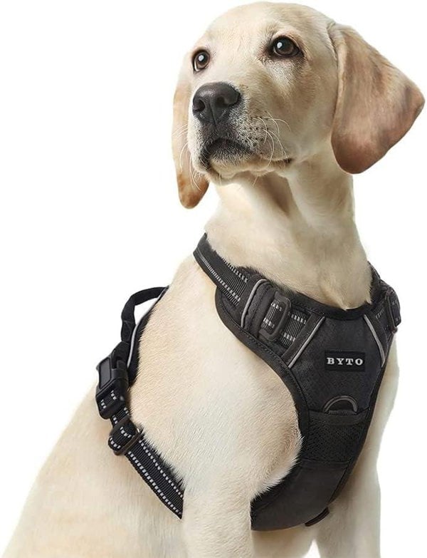 BYTO No Pull Harness Set Reflective Strips 5ft Dog Lead Medium Black