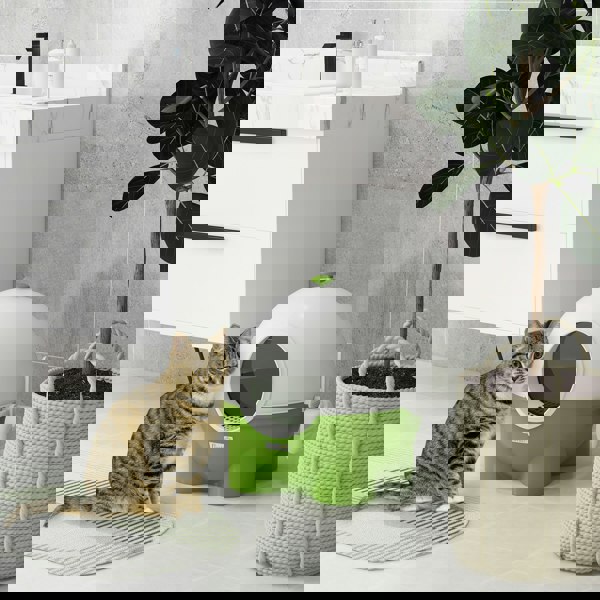 D31-081V00DG