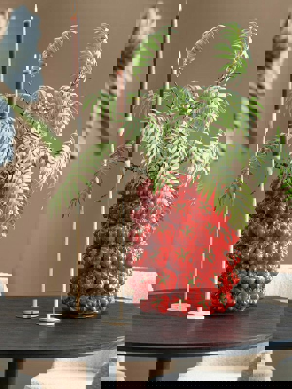 Ceramic Tomato Vase - Large Red Fruit Design with 3D Detail