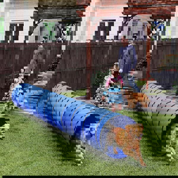 Pet Agility Tunnel