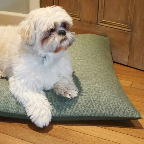 Luxury Dog Cushion Bed in Herringbone Tweed - Pooch and Paws