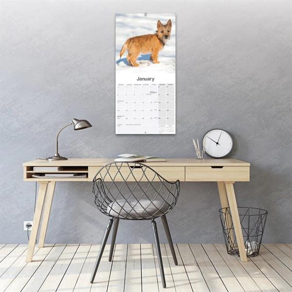 Cairn Terrier Calendar 2027, Wall Calendars, Month To View, Dogs, Gift