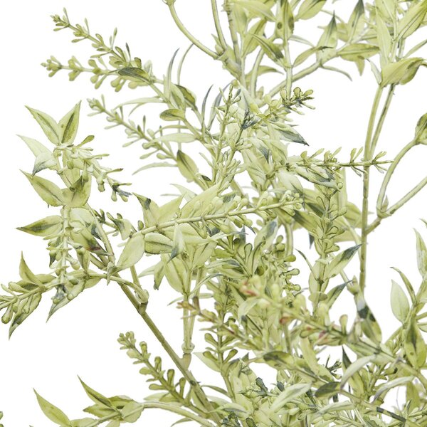 Wyld Haus Set of 3 Artificial Flowers Green Limonium Sprays